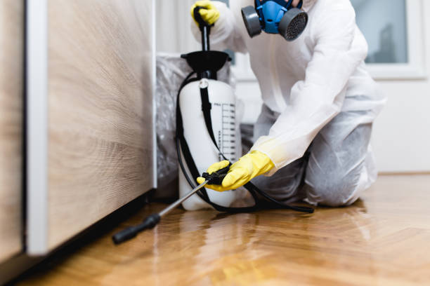 Best Cockroach Control Services  in Langston, OK
