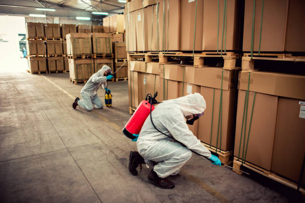 Best Local Pest Control Services  in Langston, OK