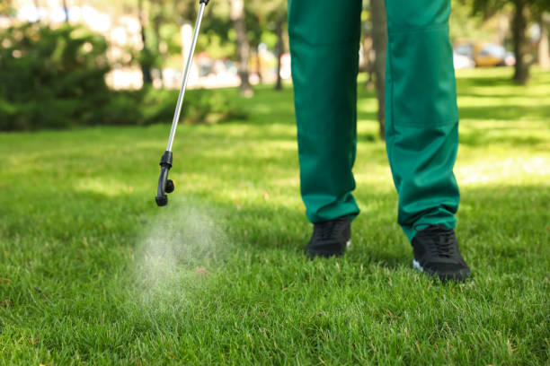 Best Best Pest Control Companies  in Langston, OK