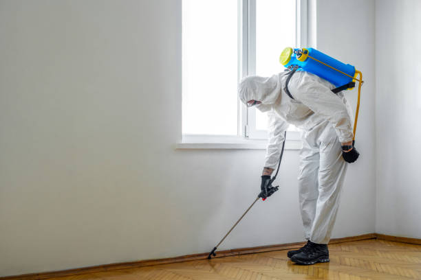 Best Flea Control Services  in Langston, OK