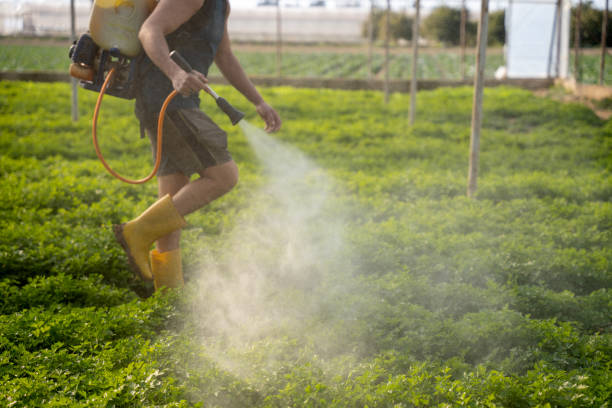 Best Residential Pest Control  in Langston, OK