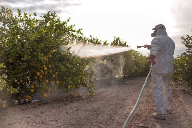 Best Local Pest Control Services  in Langston, OK