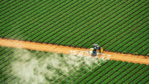Best Best Pest Control Companies  in Langston, OK