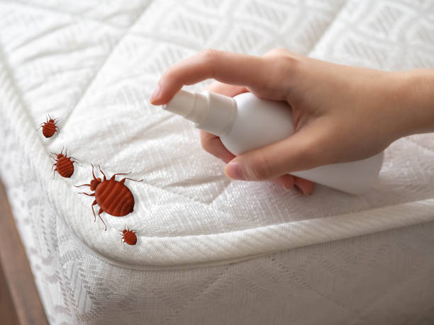 Best Emergency Pest Control  in Langston, OK