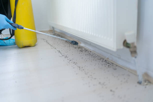 Best Exterminator Services  in Langston, OK