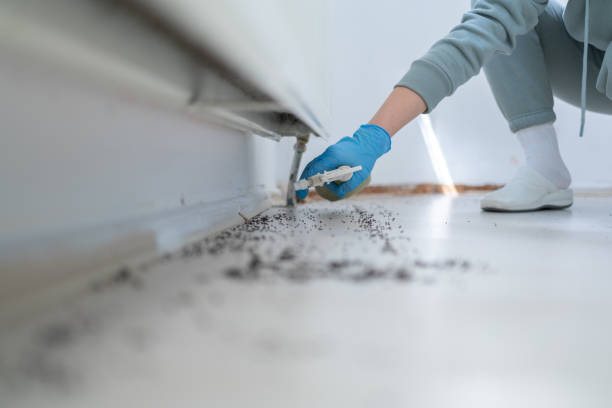 Best Pest Prevention Services  in Langston, OK