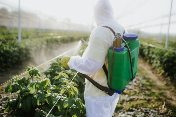 Best Pest Inspection Near Me  in Langston, OK